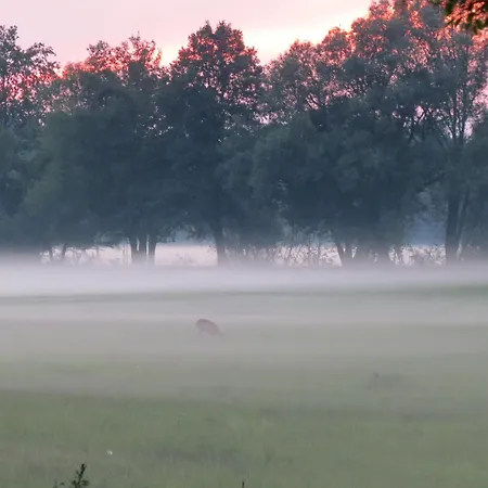 Spreewaldhof Schupan - Spreewaldsonne * Burg Kauper