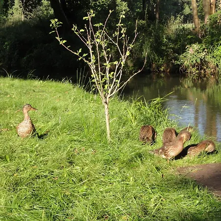 Appartement Spreewaldhof Schupan - Spreewaldsonne Burg Kauper