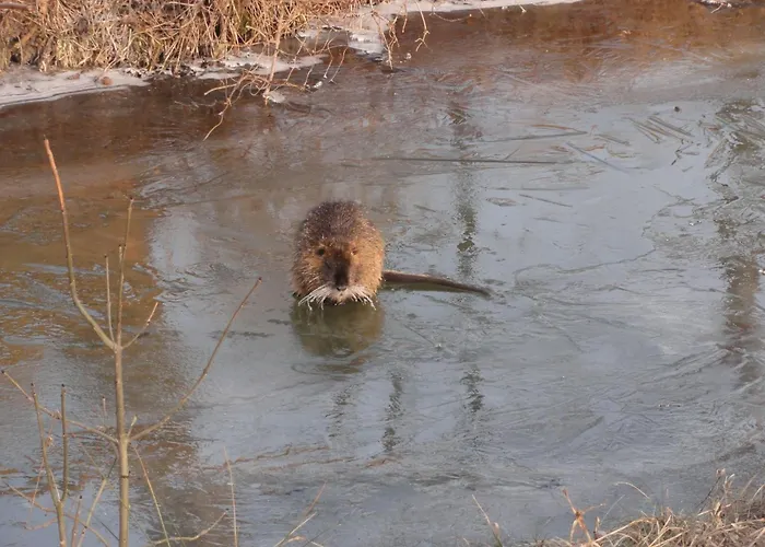 Spreewaldhof Schupan - Spreewaldsonne Burg Kauper