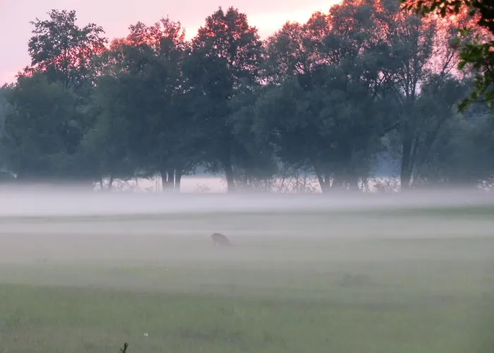 Spreewaldhof Schupan - Spreewaldsonne * Burg Kauper
