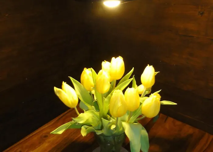 Spreewaldhof Schupan - Spreewaldsonne *