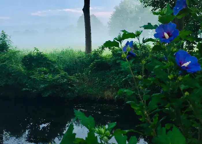 Lägenhet Spreewaldhof Schupan - Spreewaldsonne Burg Kauper