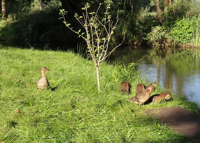 Lägenhet Spreewaldhof Schupan - Spreewaldsonne Burg Kauper